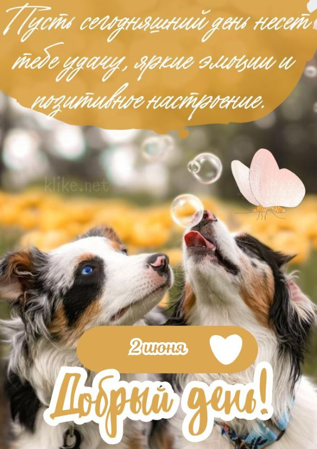 Славная картинка хорошего дня 2 июня!