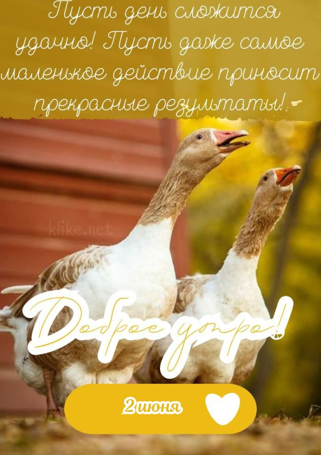Доброе утро 2 июня!