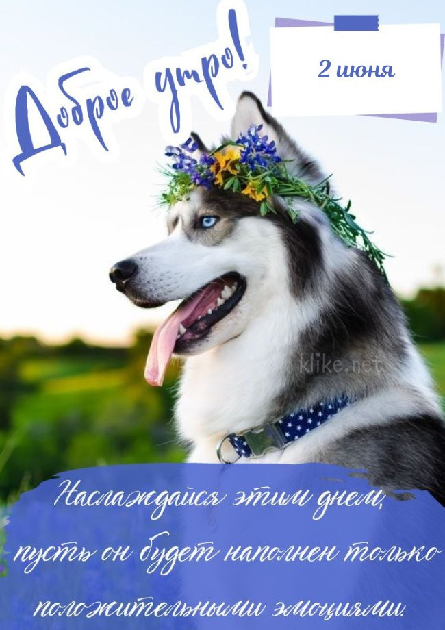 Доброго утра 2 июня!