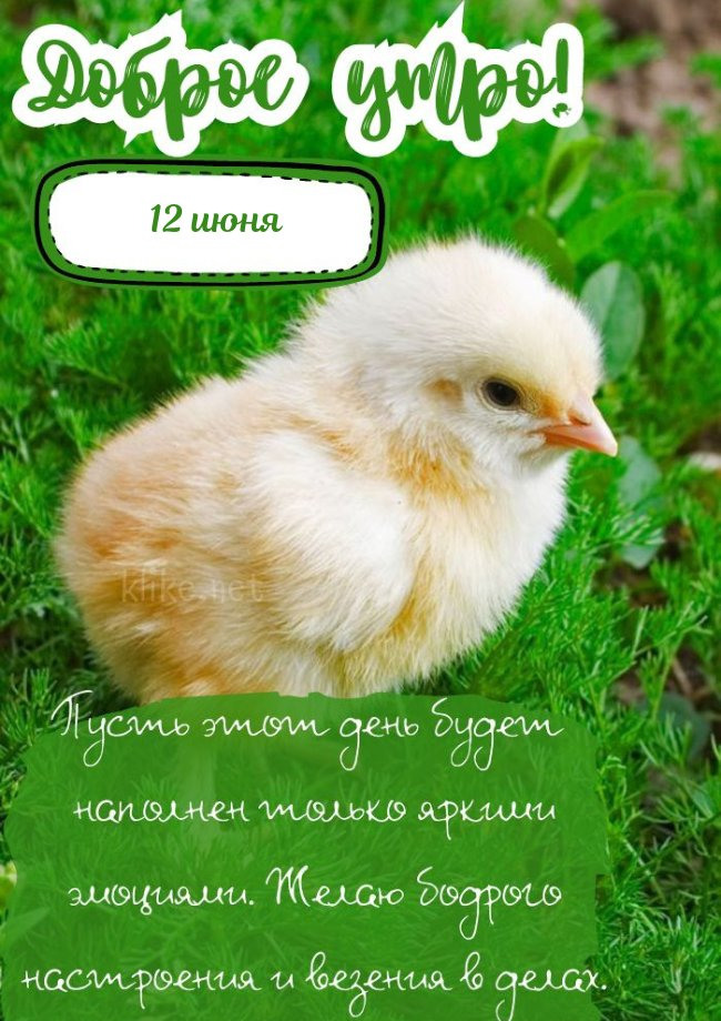 Открытка на 12 июня!