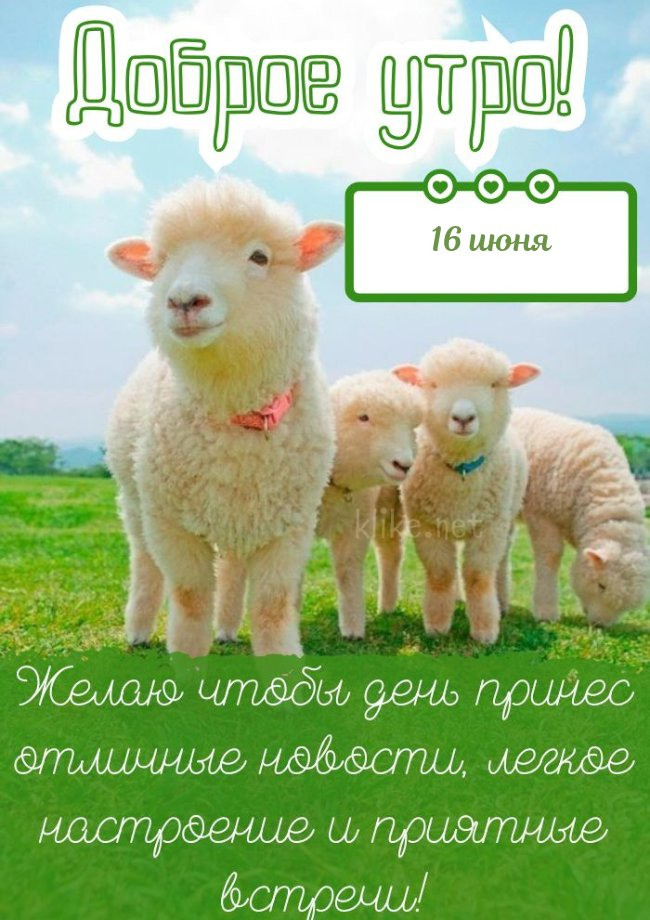 Открытка на 16 июня!