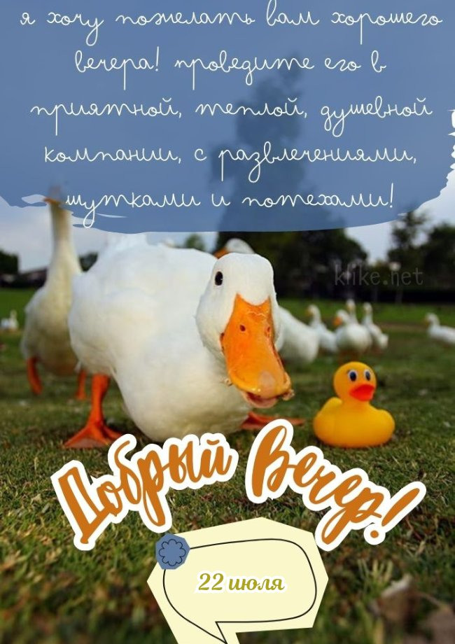 Добрый вечер 22 июля!