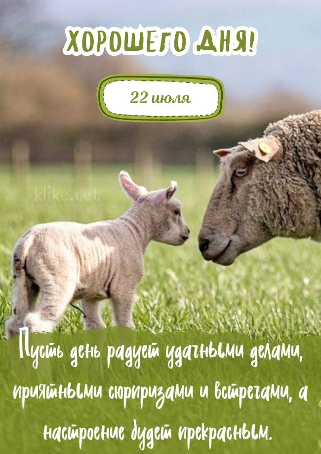Прекрасная открытка хорошего дня 22 июля!