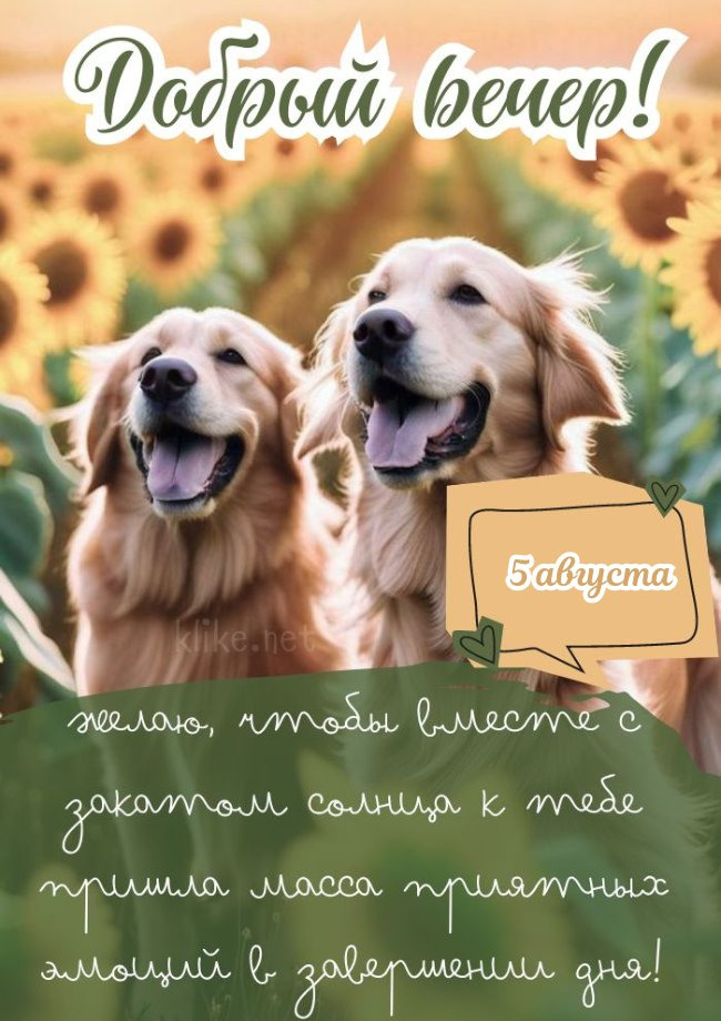 Добрый вечер 5 августа!
