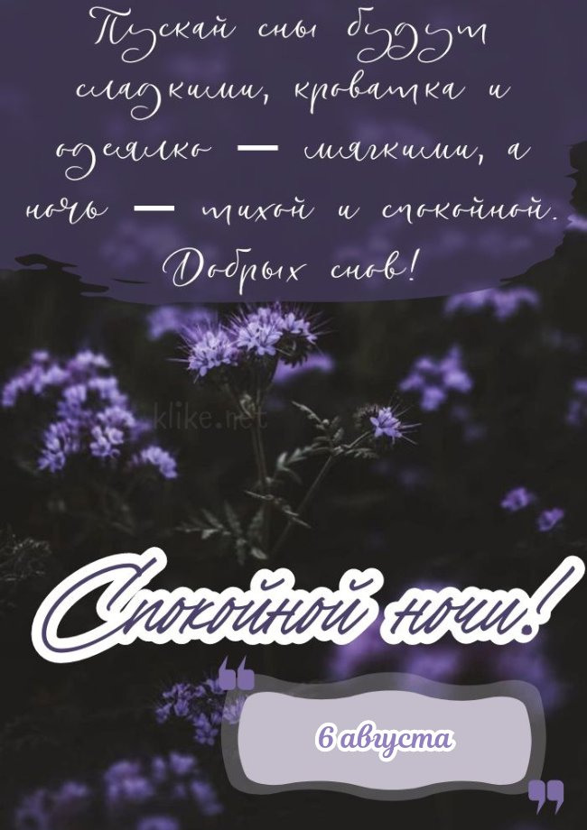 Спокойной ночи 6 августа!