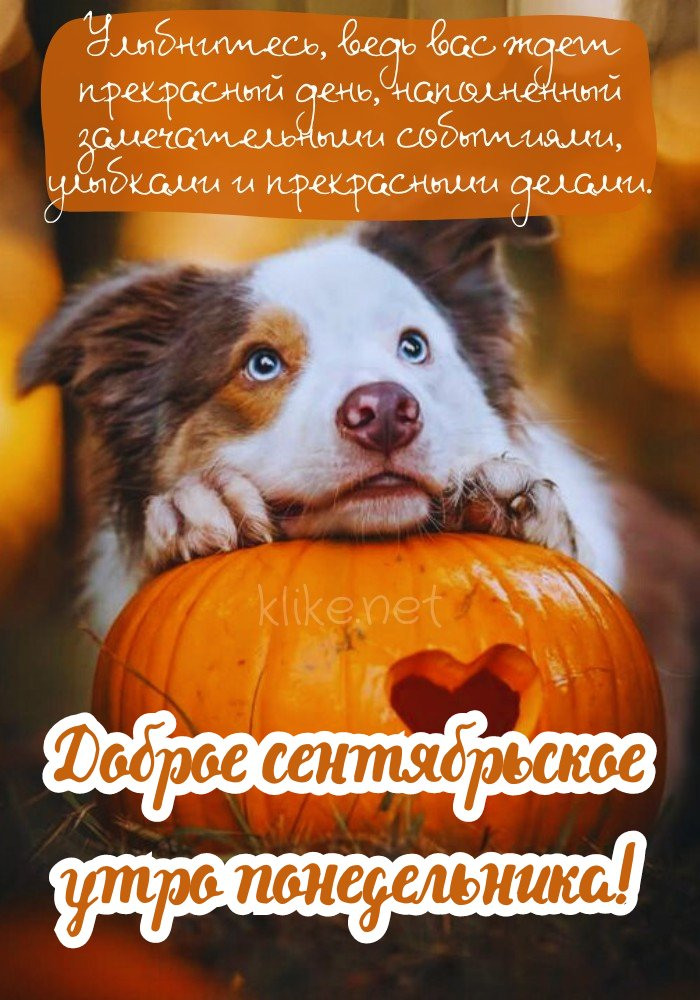 Фантастическая картинка доброго сентябрьского утра понедельника!