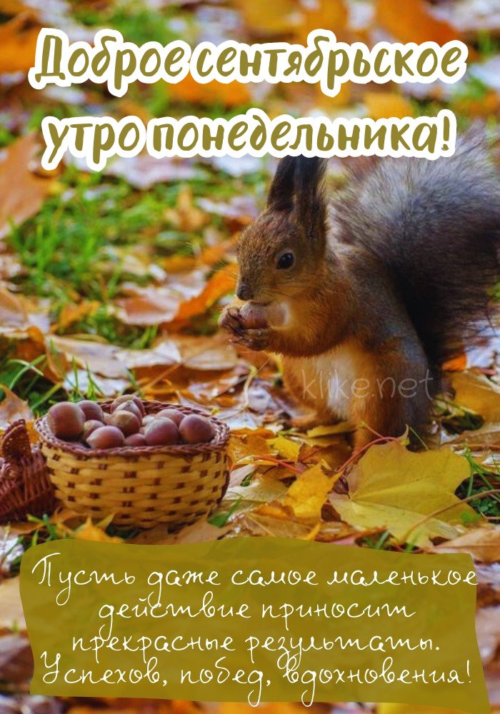 Славная картинка доброе сентябрьское утро, понедельник!