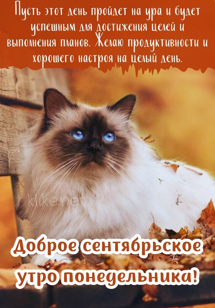 Продуктивности и с добрым сентябрьским утром понедельника!