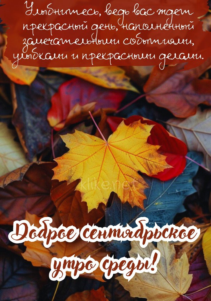 Улыбчивая картинка доброго сентябрьского утра среды!