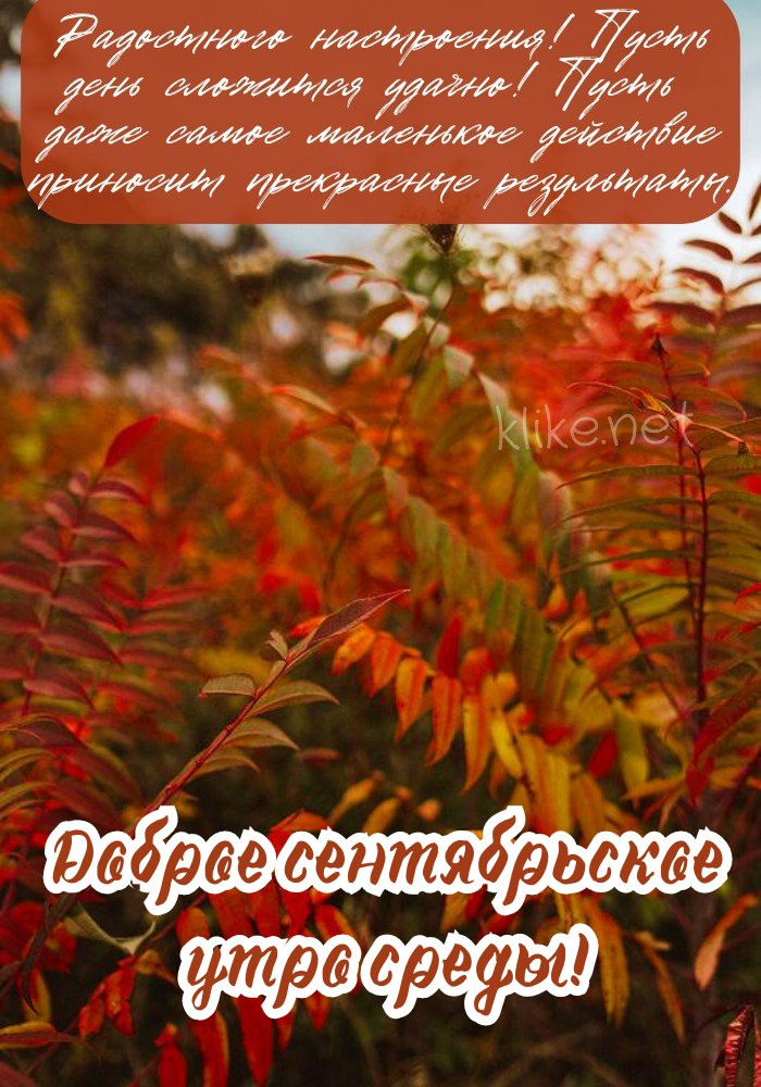 Прекрасных результатов и с добрым сентябрьским утром среды!