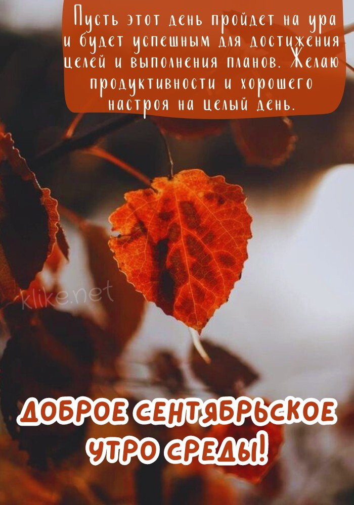 С сентябрьским добрым утром среды!