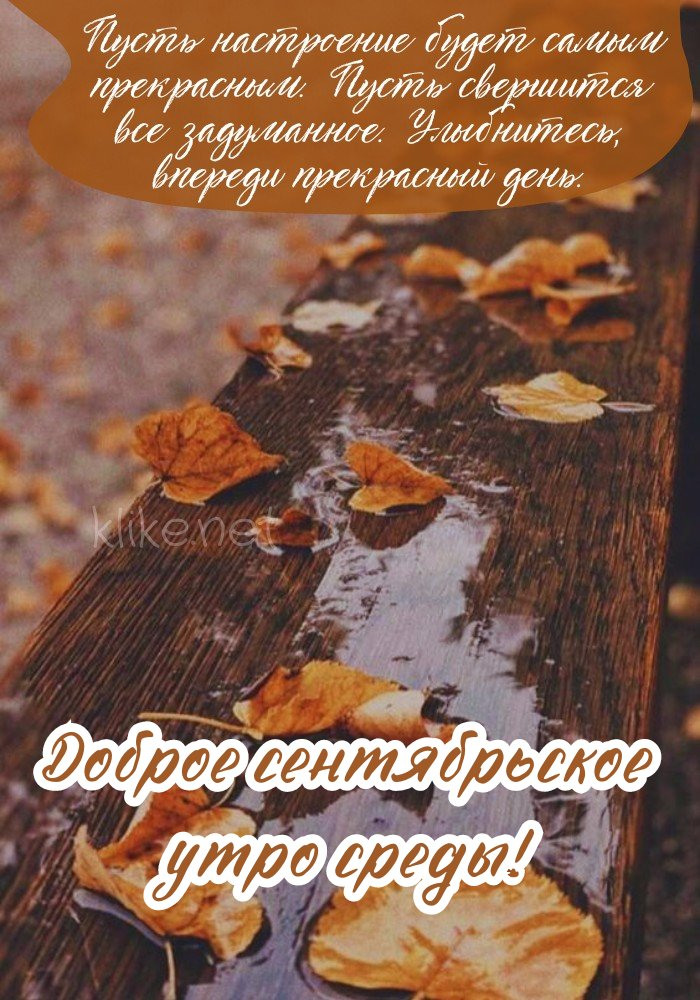 Рассудительная картинка доброе сентябрьское утро, среда!