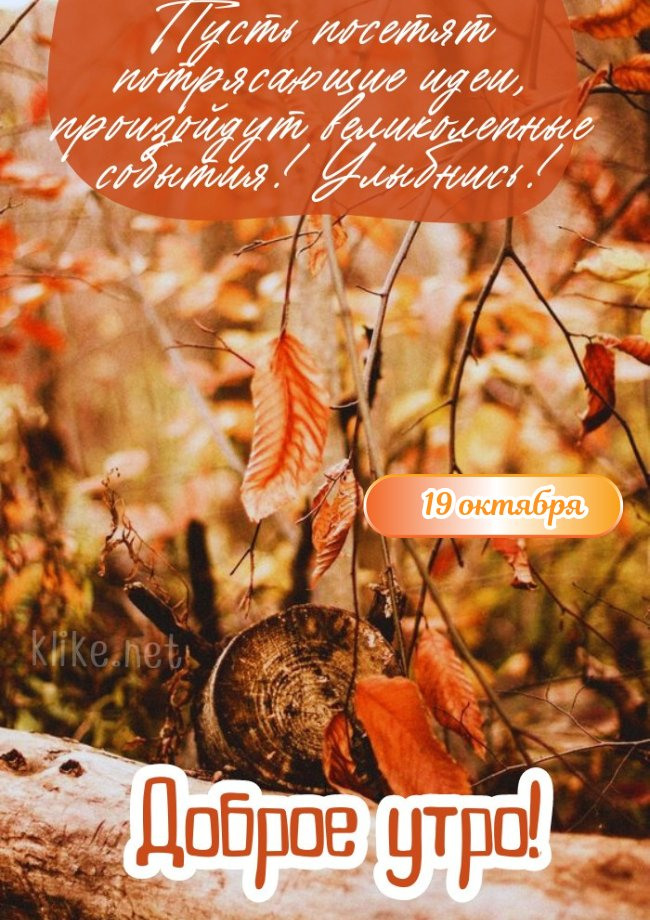 Доброго утра 19 октября!