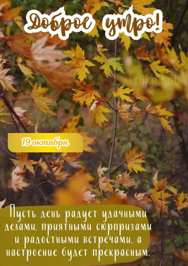 Душевная открытка доброе утро 19 октября!