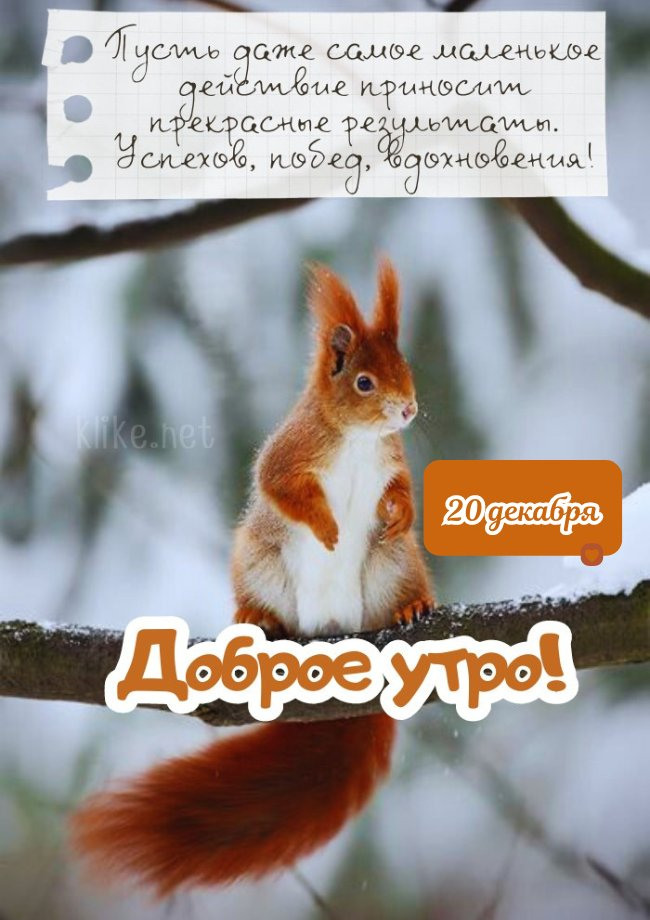Прикольная картинка доброго утра 20 декабря!