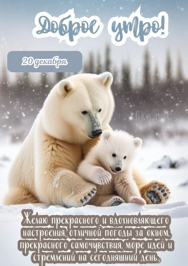 Рассудительная открытка доброе утро 20 декабря!