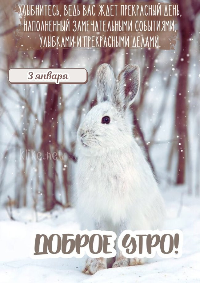 Улыбчивого утра 3 января!