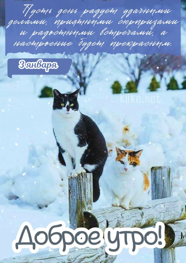 Захватывающая картинка доброго утра 3 января!