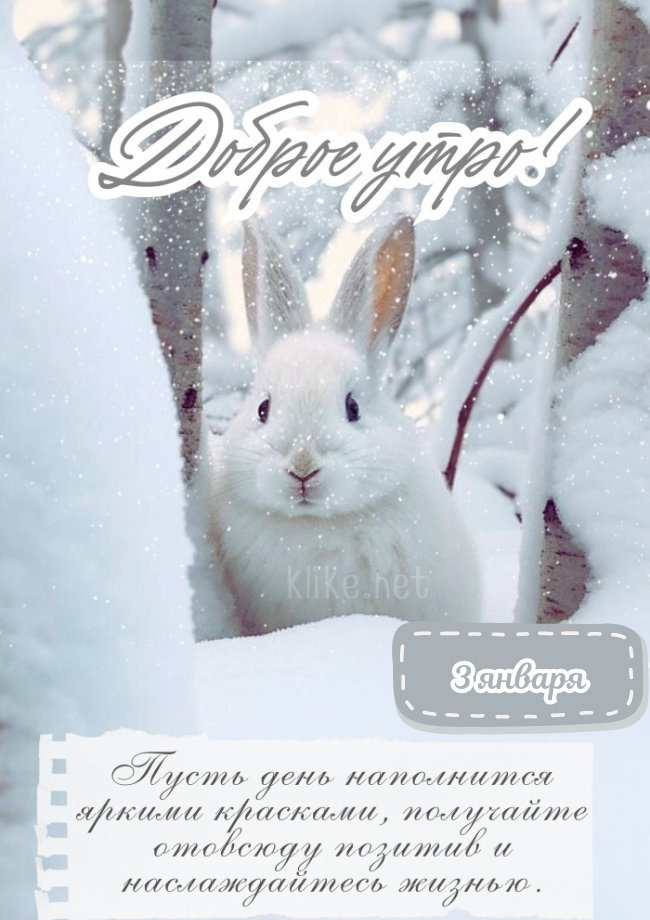 Бодрая картинка с добрым утром 3 января!