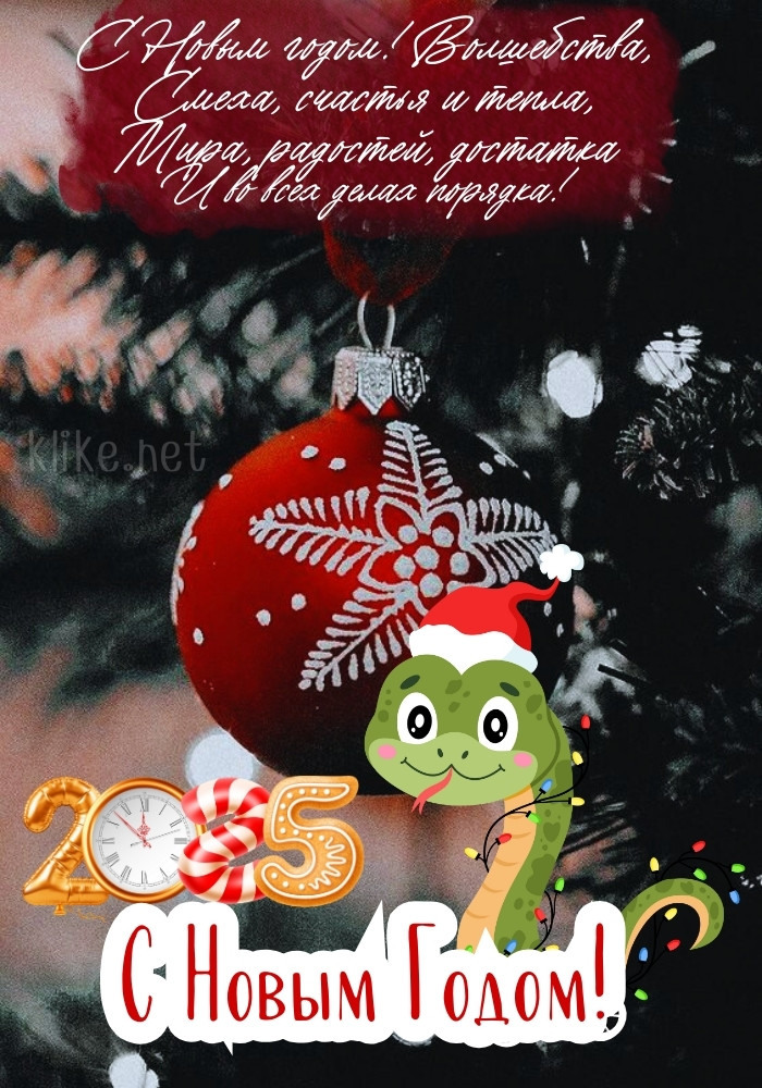 Достатка и с Новым годом 2025!