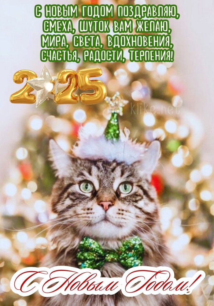 Прикольная открытка с Новым 2025 годом!