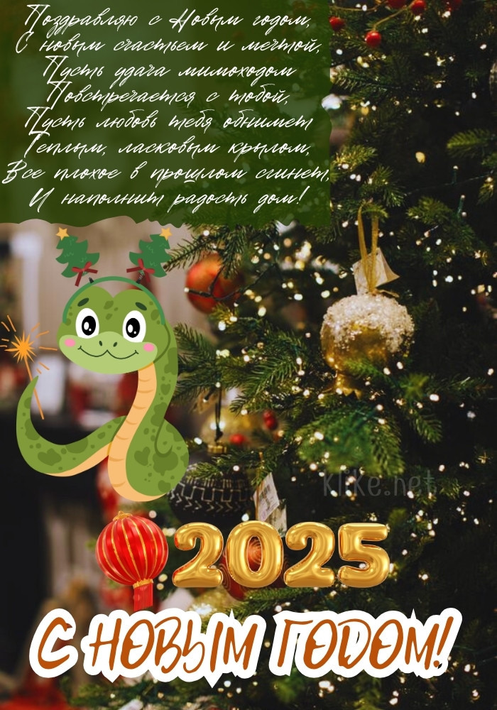С Новым 2025 годом поздравляю!