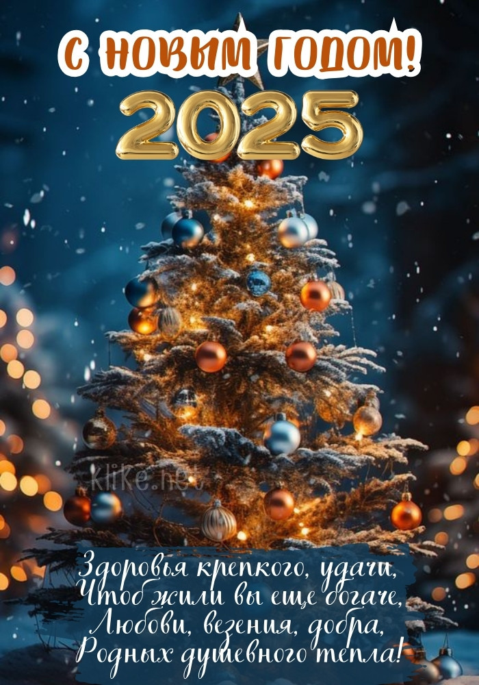 Удачи и с Новым годом 2025!