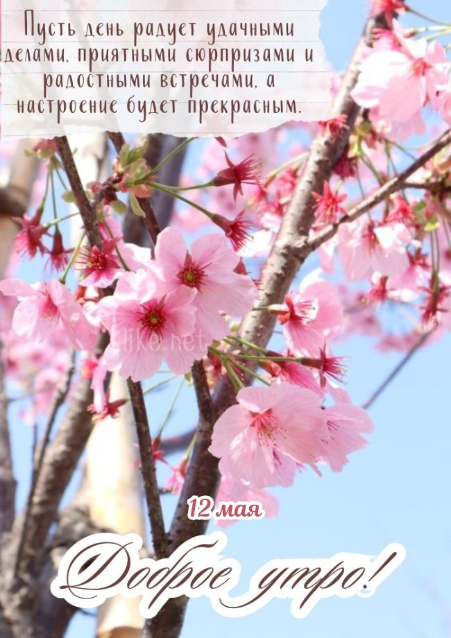 Доброго утра 12 мая!