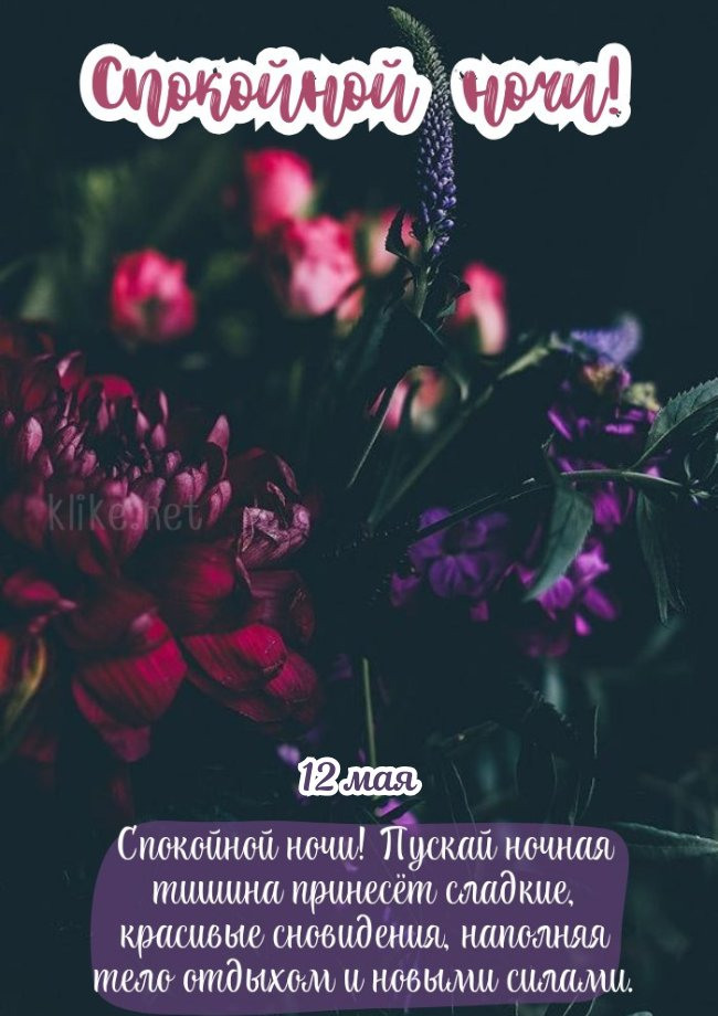 Идеальная открытка спокойной ночи 12 мая!