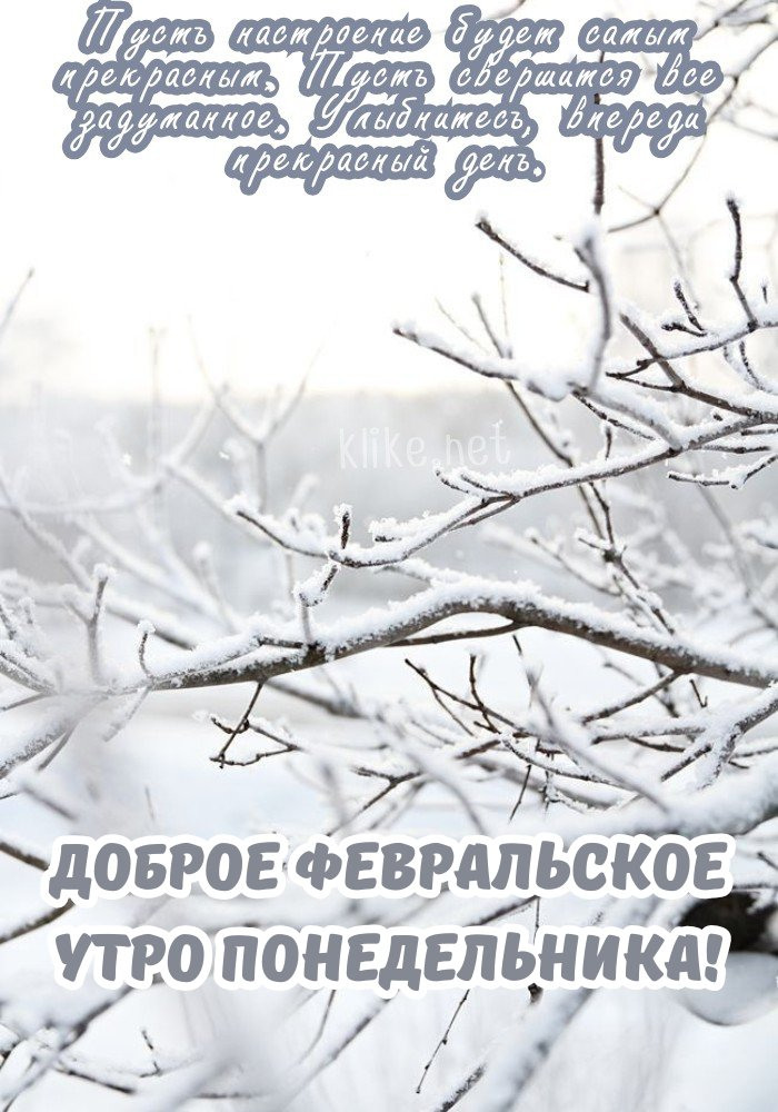 Захватывающая открытка доброе февральское утро, понедельник!