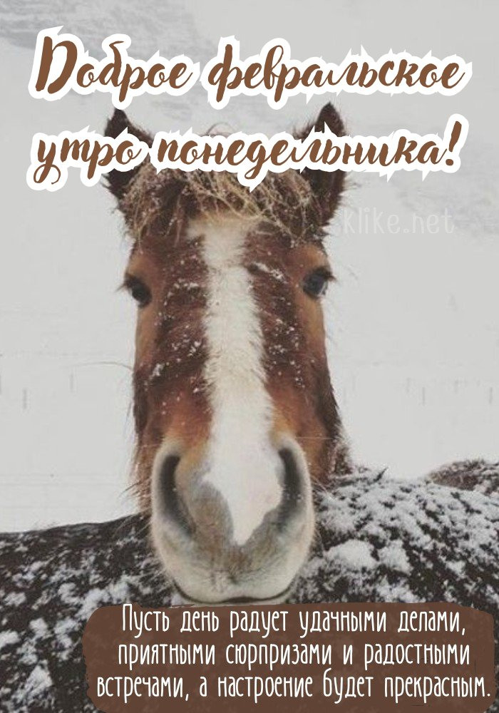 С февральским добрым утром понедельника!