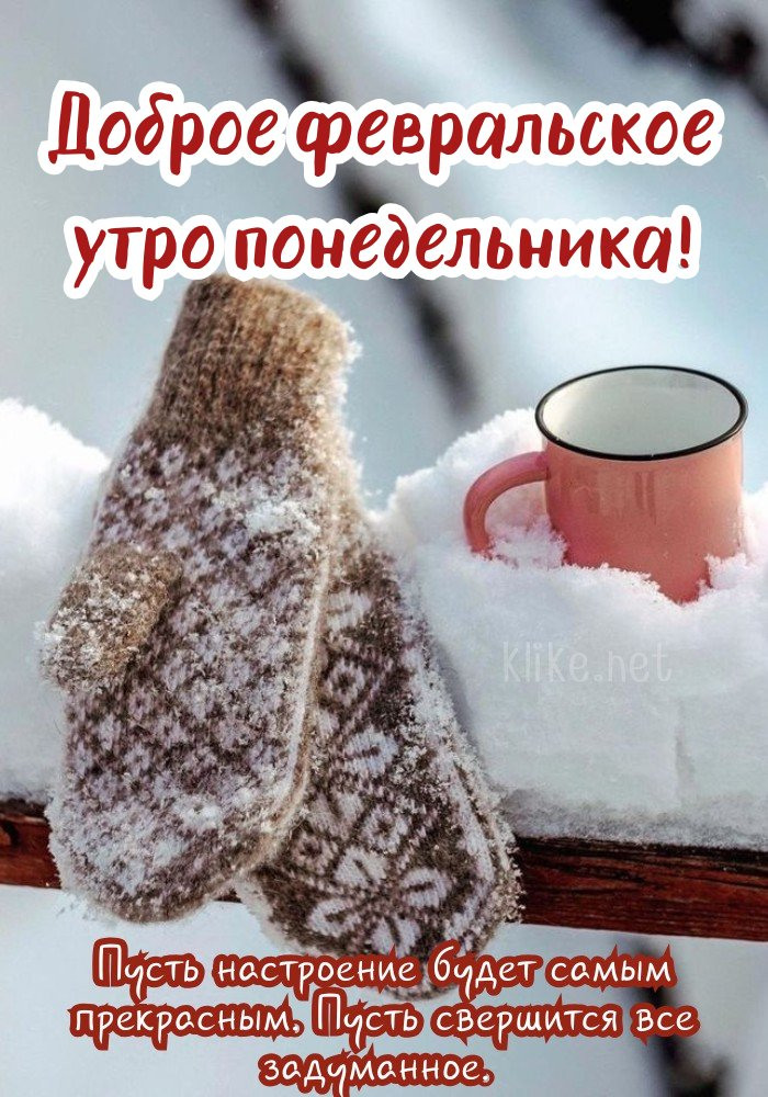 Восхитительная картинка доброе февральское утро, понедельник!