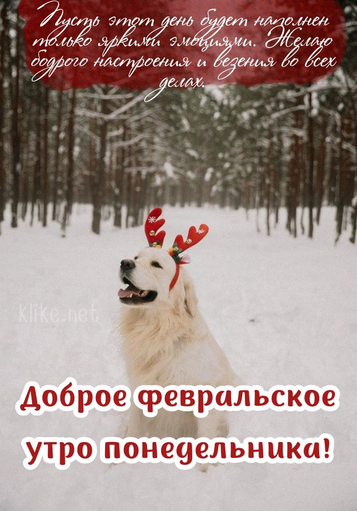 Бодрости и с добрым февральским утром понедельника!