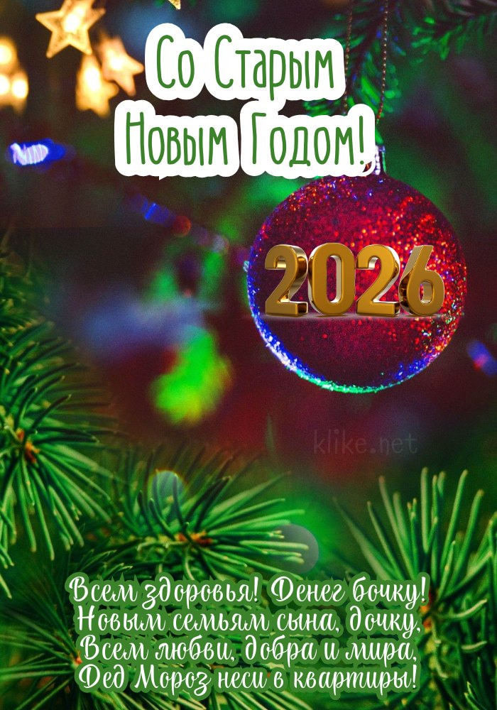 Со Старым Новым 2026 годом! Ветки елки.